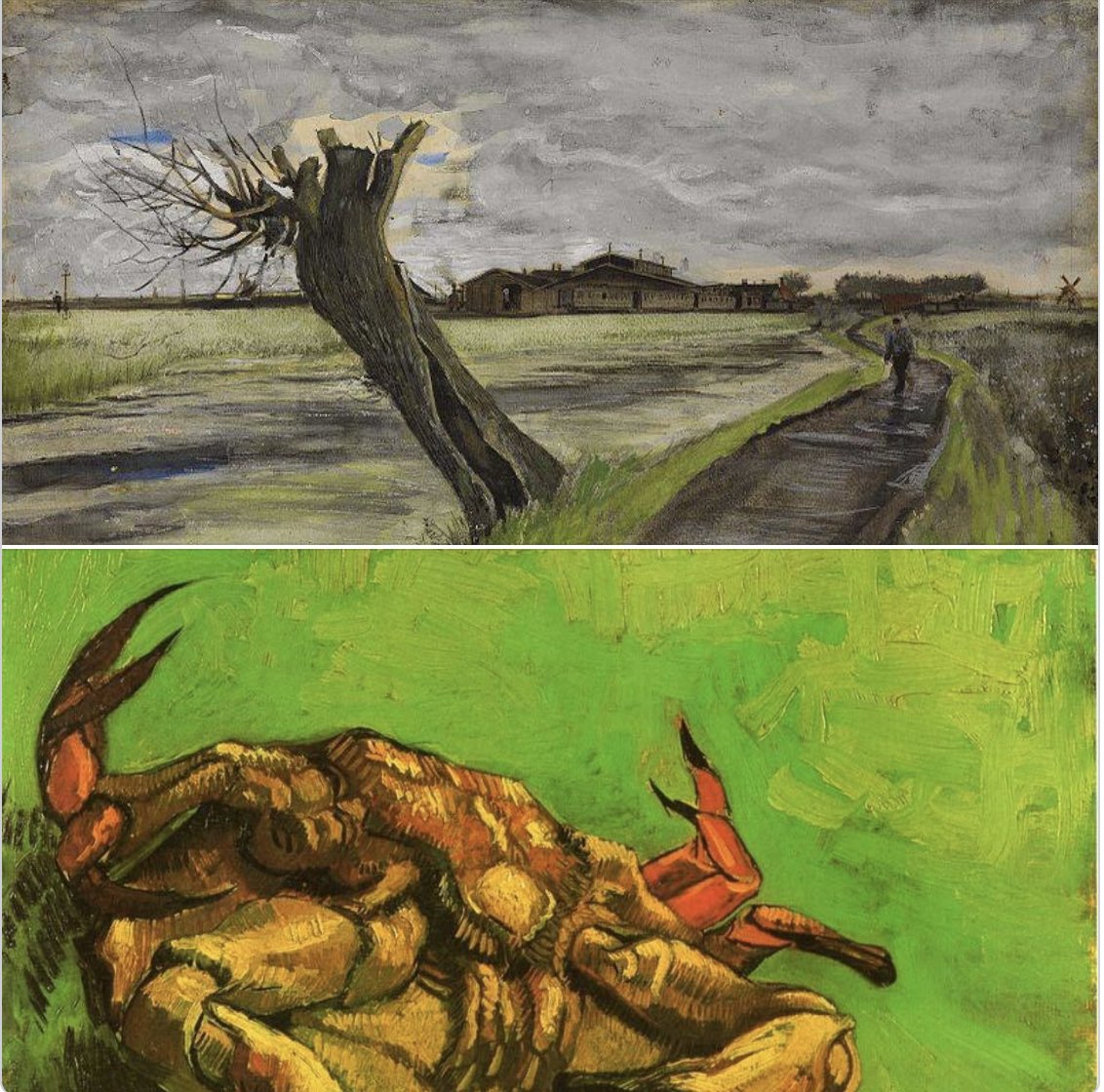 #VanGogh invested a pollard willow and upturned crab with emotion. His empathy for people and things informed his art, letters and life. Vincent said he hoped one day people would say about his work that he: 'felt keenly -- he felt deeply.' #artoftheday #timelessart