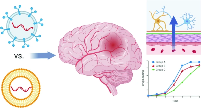 Nature vs. Manmade: Comparing #Exosomes and #Liposomes for Traumatic Brain Injury
| Erin Lavik <a href="/UMBC/">UMBC</a> |
rdcu.be/dlqcD
#AAPS <a href="/AAPSComms/">American Association of Pharmaceutical Scientists</a> 
#targeting #TBI #ondemanddelivery #polymer