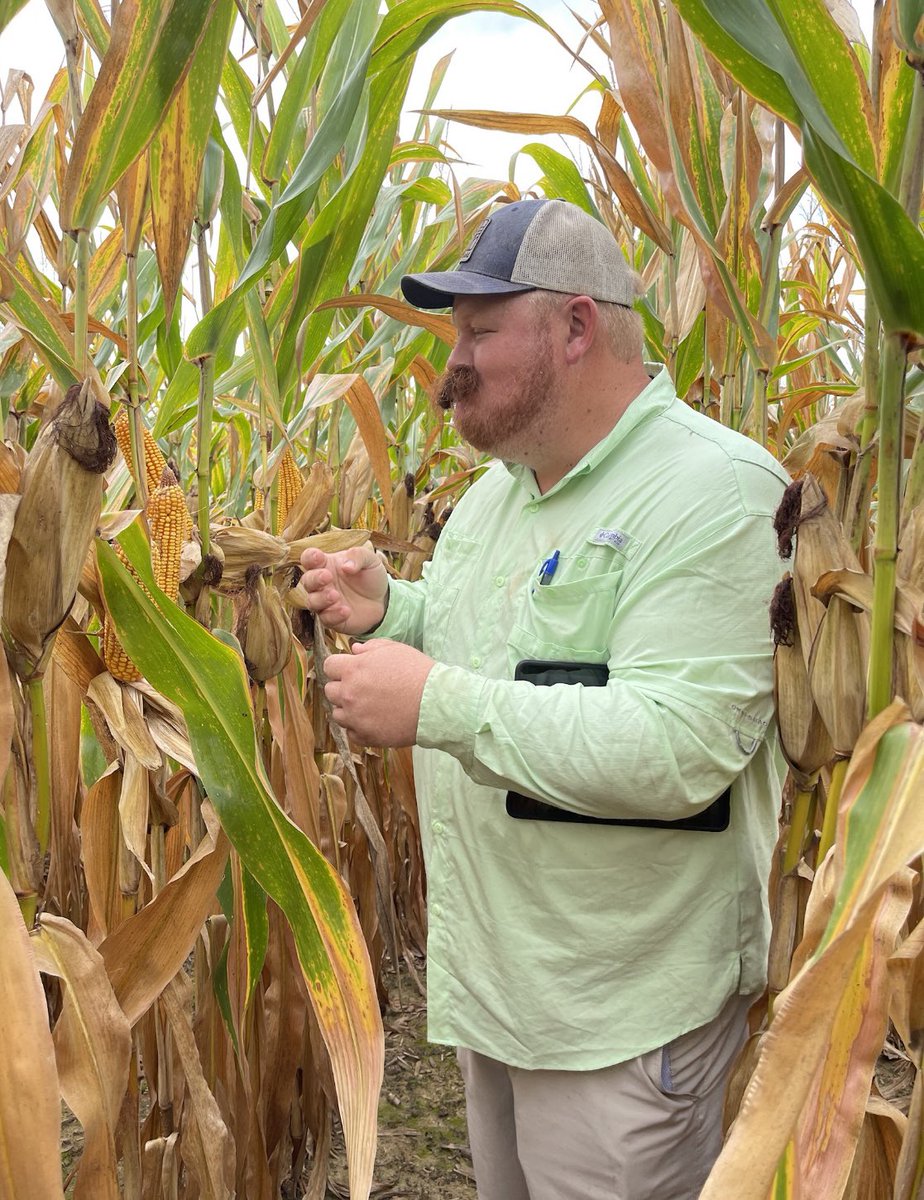 Hard to imagine a better day in the field! 🌽Touring with <a href="/agrjosh/">Josh Johnston</a> <a href="/AgoldAaron/">Aaron Benton</a> <a href="/gligleheart/">Garret Igleheart</a>! Learning about new and existing <a href="/AgriGold/">AgriGold</a> products. #silkmustache23 #mustacheyouaquestion