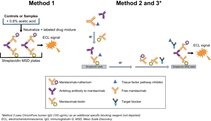 Evolution of Antidrug Antibody Assays During the Development of Anti-Tissue Factor Pathway Inhibitor Monoclonal Antibody Marstacimab
| Steven Arkin <a href="/Biorasi/">Biorasi</a> |
rdcu.be/dlqdG
#AAPS <a href="/AAPSComms/">American Association of Pharmaceutical Scientists</a> 
#TFPI #ADA #hemophiliaA #hemophiliaB #pharmacokinetics