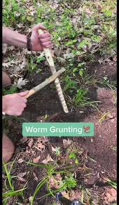 stepford_the's tweet photo. I bet no one has tried grunting for death worms. https://t.co/n88nDOmUtz