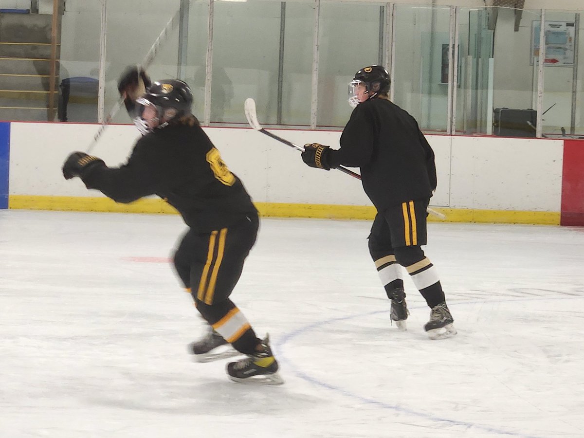 Strathcona Bruins tweet media