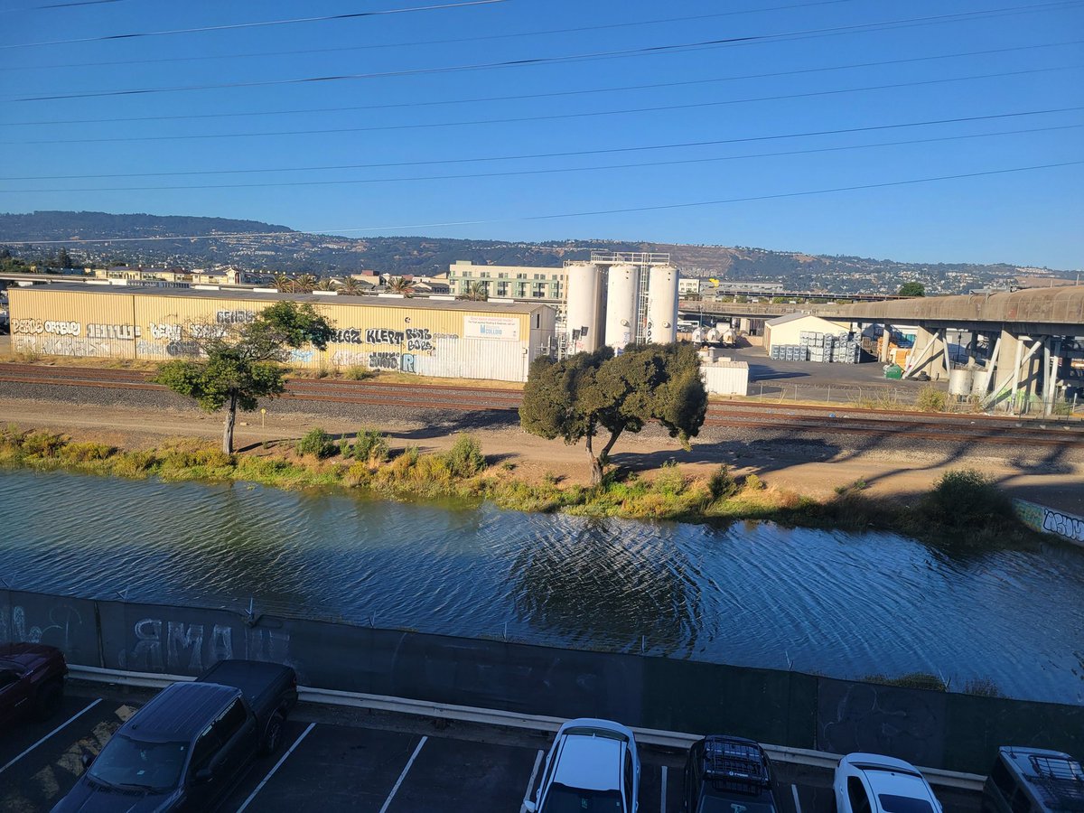 swfctoronto's tweet photo. Anyone know of the government checked the Oakland Coliseum for Raac? https://t.co/Fn3lOXsbl1