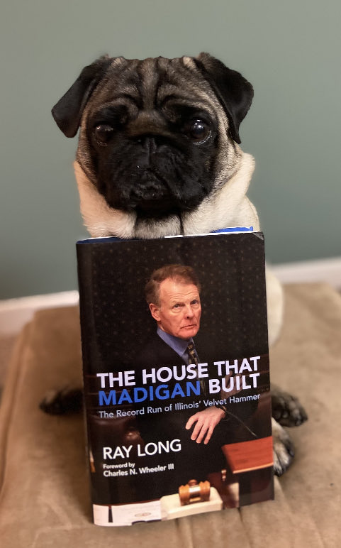 RayLong's tweet photo. Look at this great pic of Kovacs and then take note: I’m signing “The House That Madigan Built” from 1-2 pm Saturday at U of I Press’ Tent FF on Dearborn at south end of Lit Fest near Polk Street! I’ll see you there, but Kovacs will be home reading! https://t.co/LvgV1nePMw