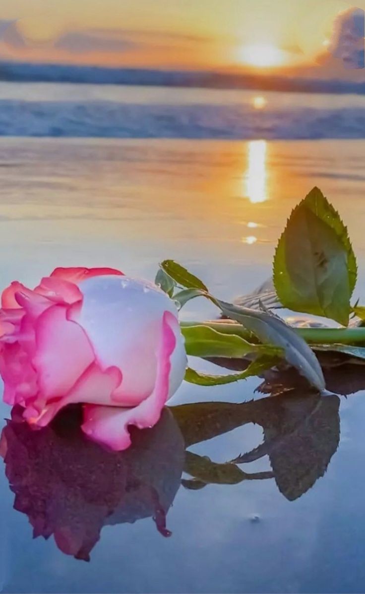 <a href="/KN_IndrePal/">DR. KN INDREPAL</a> 
               𝓢𝓾𝓶𝓶𝓮𝓻  𝓗𝓪𝓹𝓹𝓲𝓷𝓮𝓼𝓼  💕