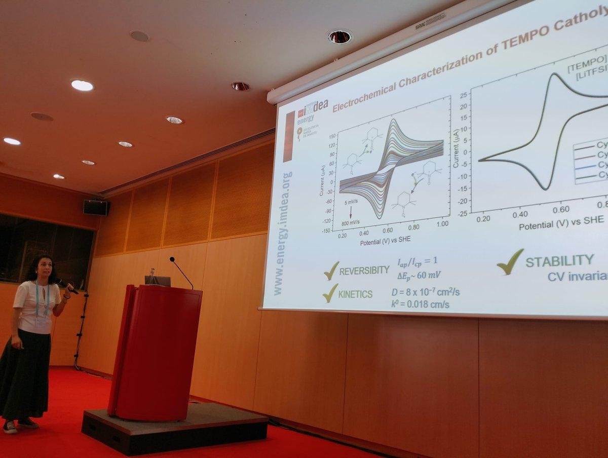 Rebeca Marcilla, Paula Navalpotro & Débora Ruiz from the @EcpuEnergy @IMDEAEnergia are participating this week in the 74th Annual International Society of Electrochemistry (ISE) Meeting in Lyon, France @ISE_Division7 @ISE_Division2