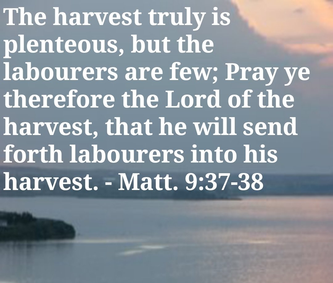 Personal Coach (@kayakhigh) on Twitter photo 