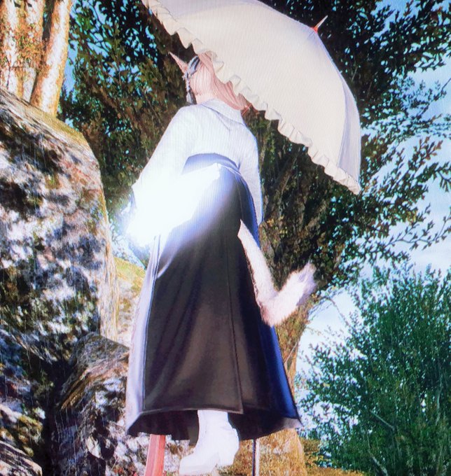 猫猫猫猫猫猫娘 