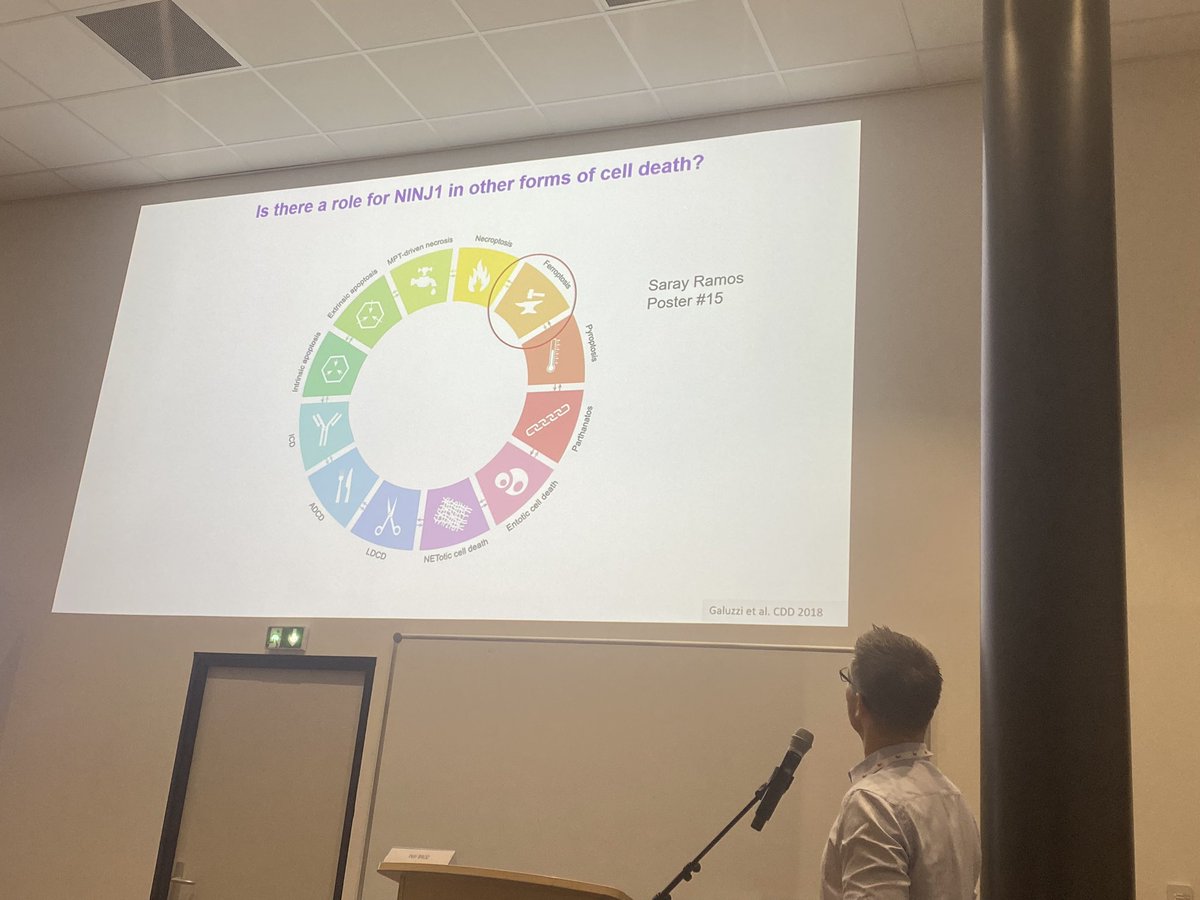 tlr_uh's tweet photo. @InnaSCo1 meeting. Opening lecture for days 2 by Petr Broz. So many ways a cell can die. NINJ1 controls one way! https://t.co/EYas6H0rvq