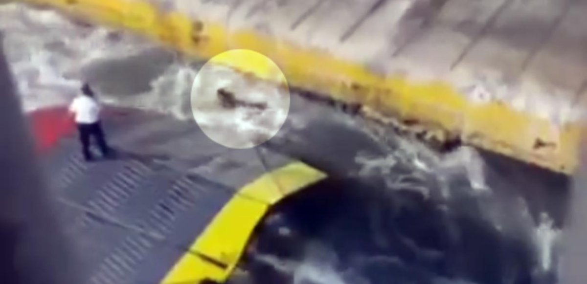 Eίμαι της άποψης πως το κακό δεν είναι ποτέ ριζικό, άλλα μονάχα ακραίο, δεν έχει ούτε βαθύτητα ούτε κάποια δαιμονική διάσταση. Το κακό δύναται να κατακυριεύει τα πάντα και να σαρώνει τον κόσμο ολόκληρο, γιατί διασπείρεται σαν μύκητας. Εδώ έγκειται η ρηχότητά του. #bluehorizon