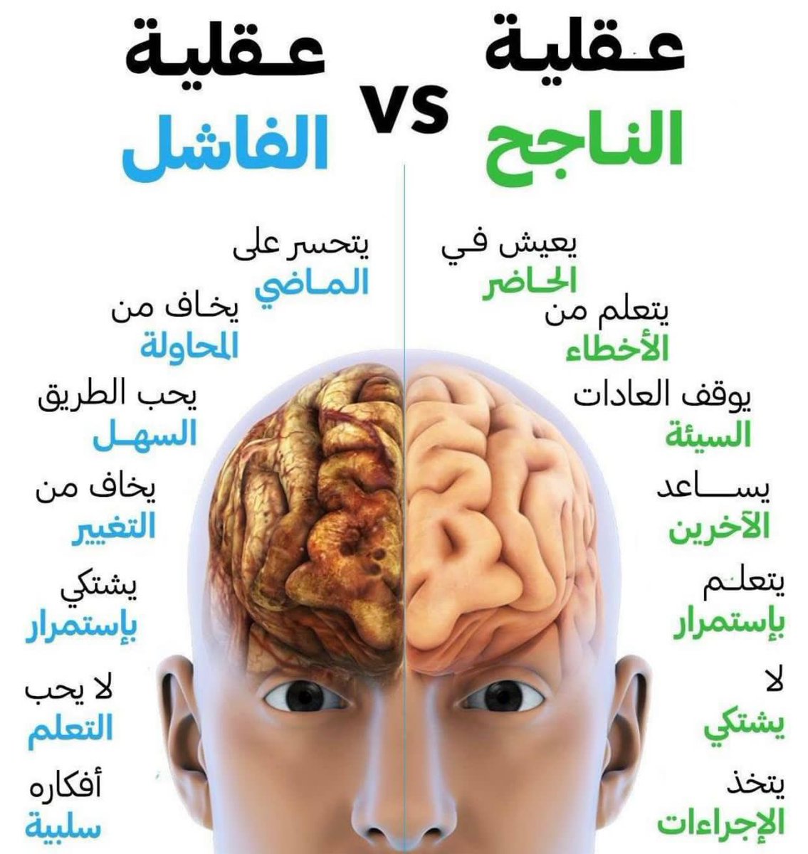 Civil Engineer / Amgad Elshafey (@amgadelshafey) on Twitter photo 