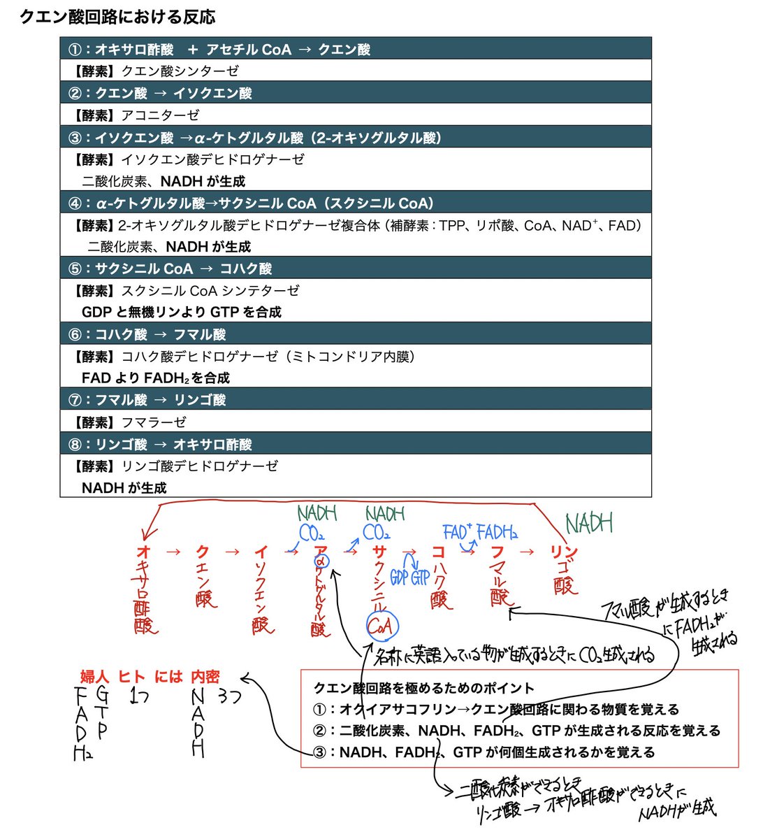 国試 薬太郎 2000 CD-ROM 国試 薬太郎 2000 CD-ROM 国試 薬太郎 2000