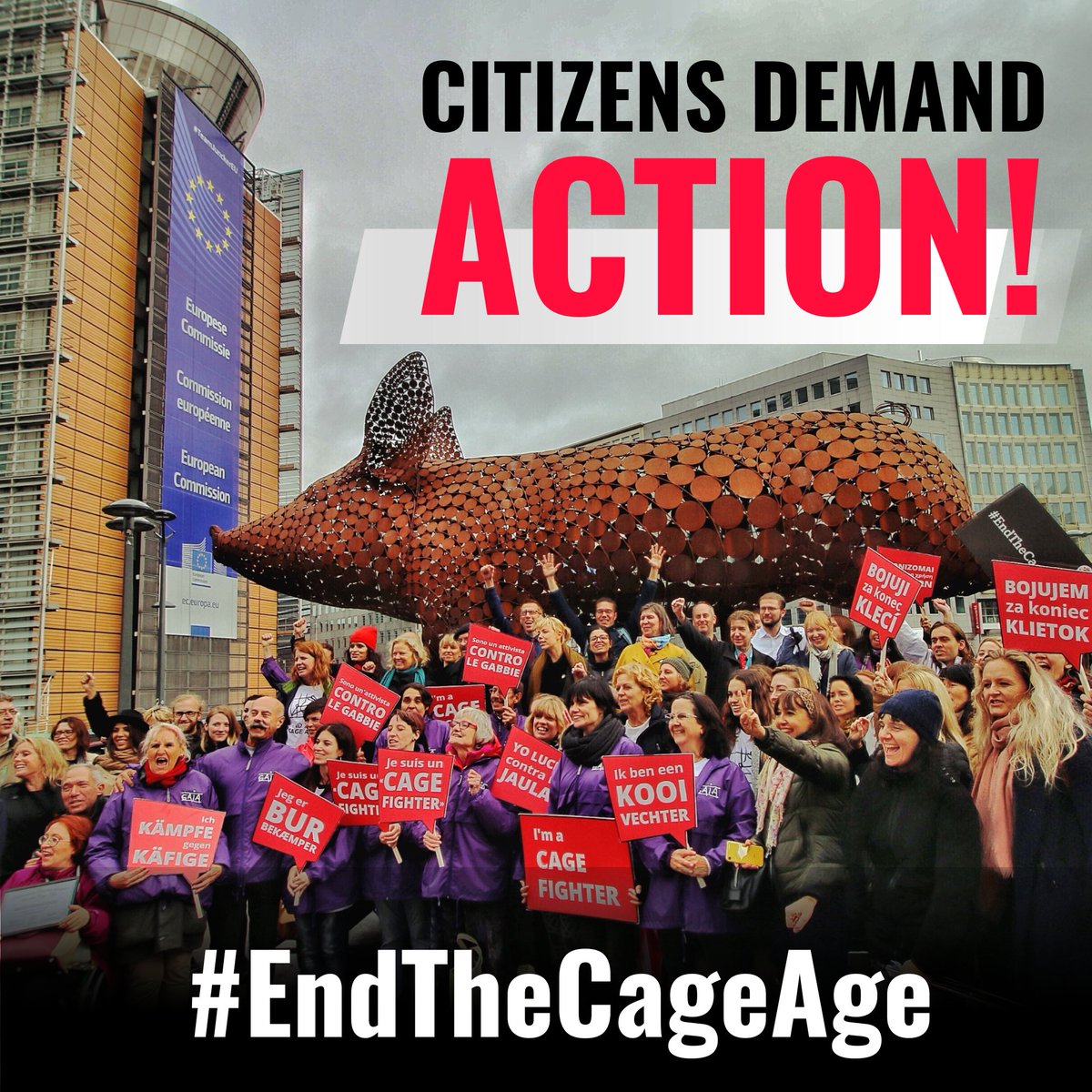 📢 1.4 million citizens want the EU to #EndTheCageAge 

The Commission has committed to propose this year a draft law to prohibit this cruelty.

President <a href="/vonderleyen/">Ursula von der Leyen</a>, please tell us during next week's #SOTEU, when will the EU finally #EndTheCageAge?

<a href="/PVanKemseke/">Peter Van Kemseke</a> <a href="/VDombrovskis/">Valdis Dombrovskis</a>