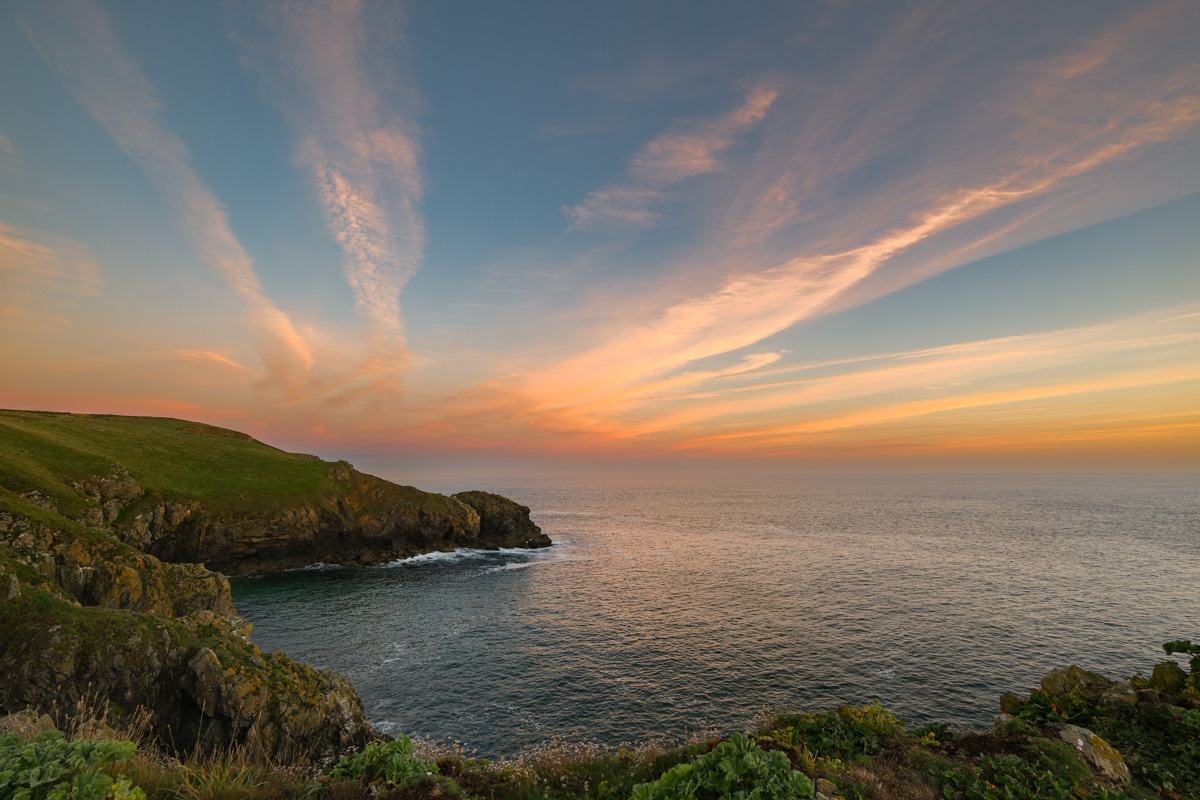 Simon Maycock tweet media