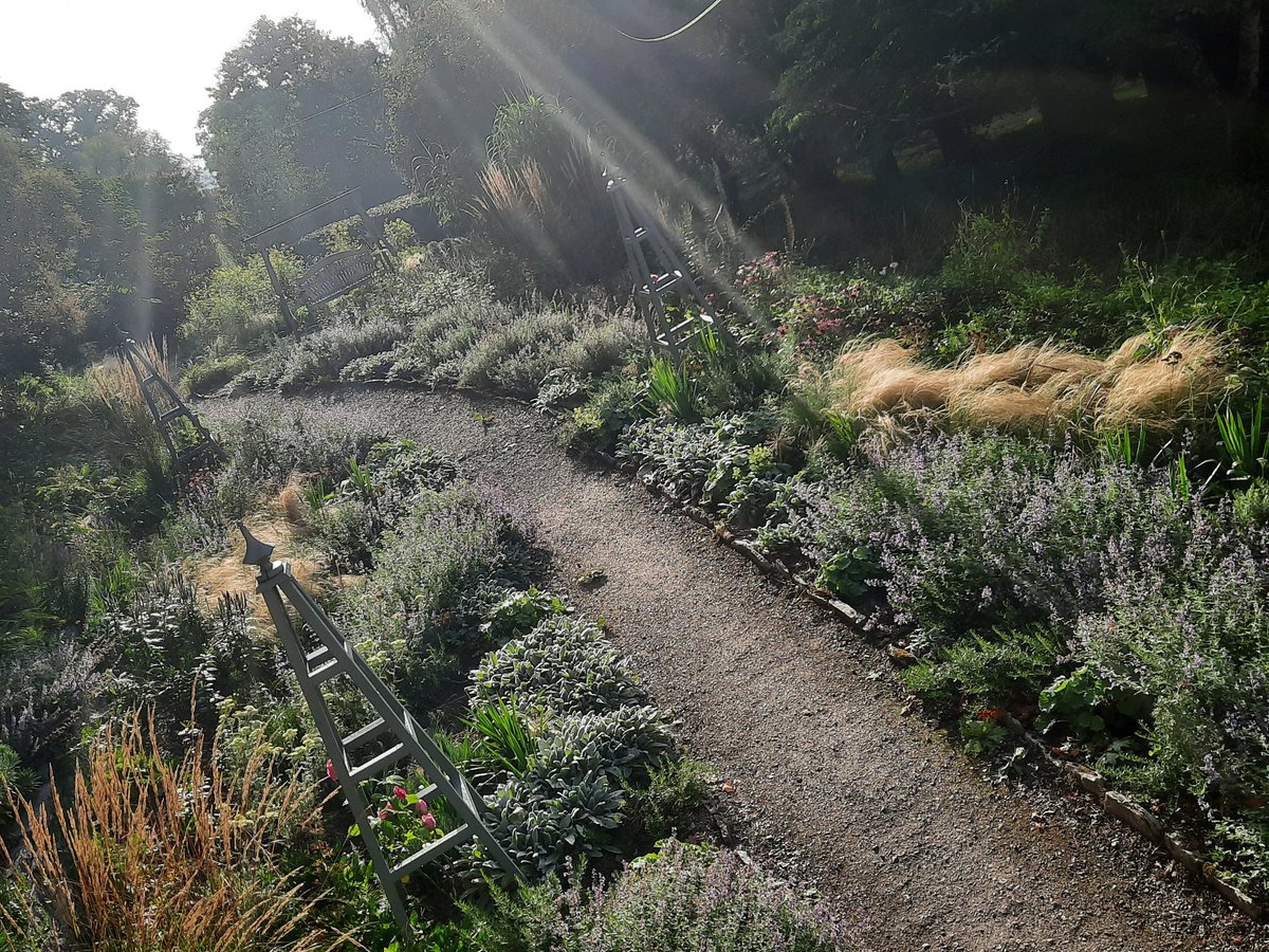 Morning light <a href="/DartingtonTrust/">Dartington Trust</a> #gardens down the garden path <a href="/DevonGardens/">Devon Gardens Trust</a> <a href="/VisitDevon/">Visit Devon</a> <a href="/visitsouthdevon/">Visit South Devon</a> <a href="/DevonLife/">Devon Life</a> <a href="/garden_uk/">Garden Visitor UK</a>