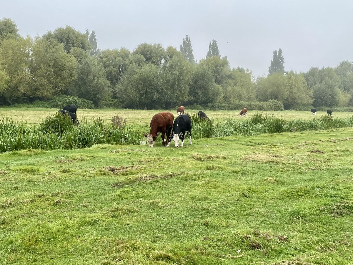 Lovely cycle back after first drop off of the new term.