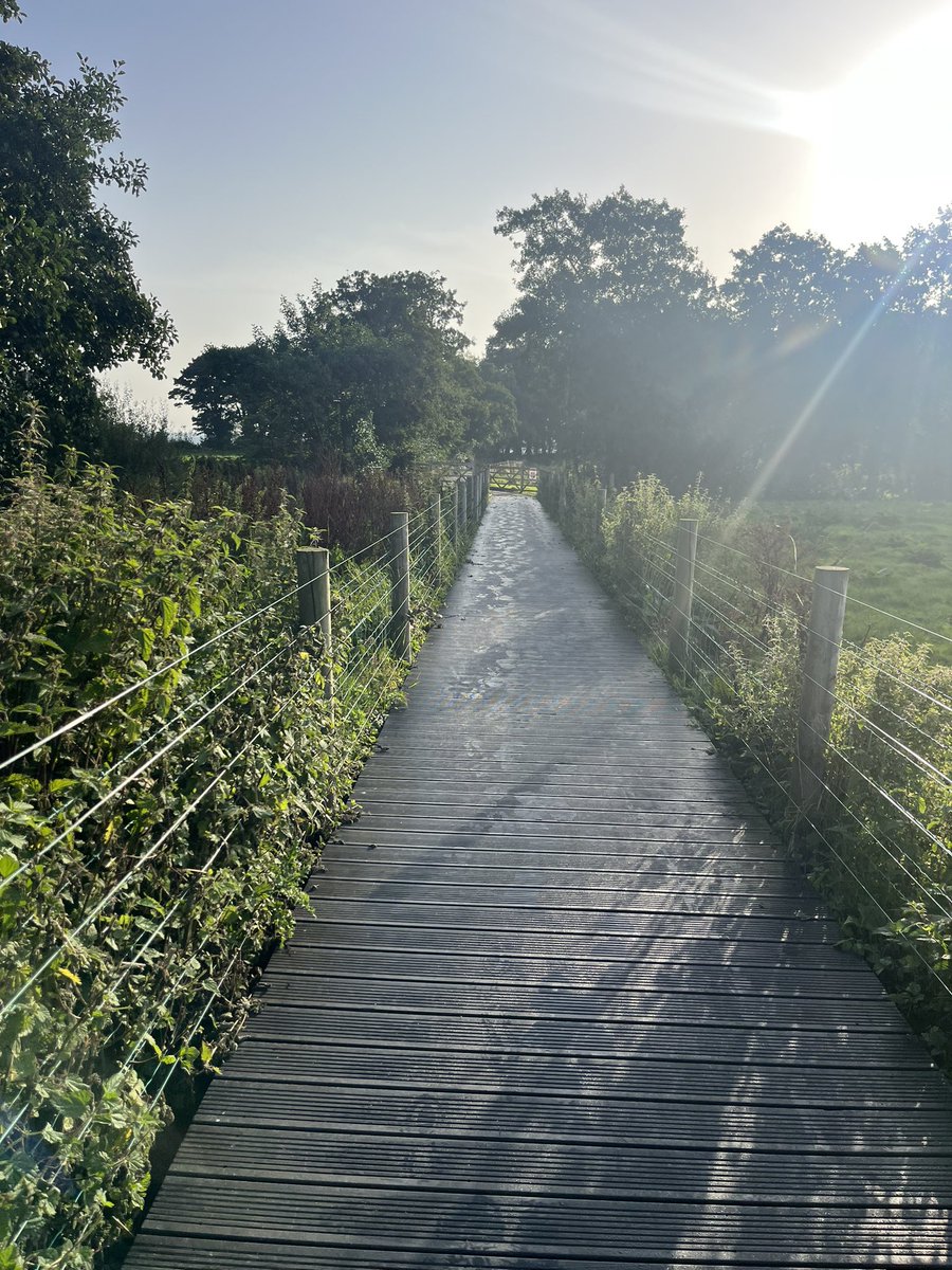 nevergiveupanne's tweet photo. Some pre work steps💕 the perks of working in different base locations @NHSCTrust #stepchallenge #teamnorth #LoughBeg #ChurchIsland #NorthernIreland https://t.co/Pn6NVgGclr