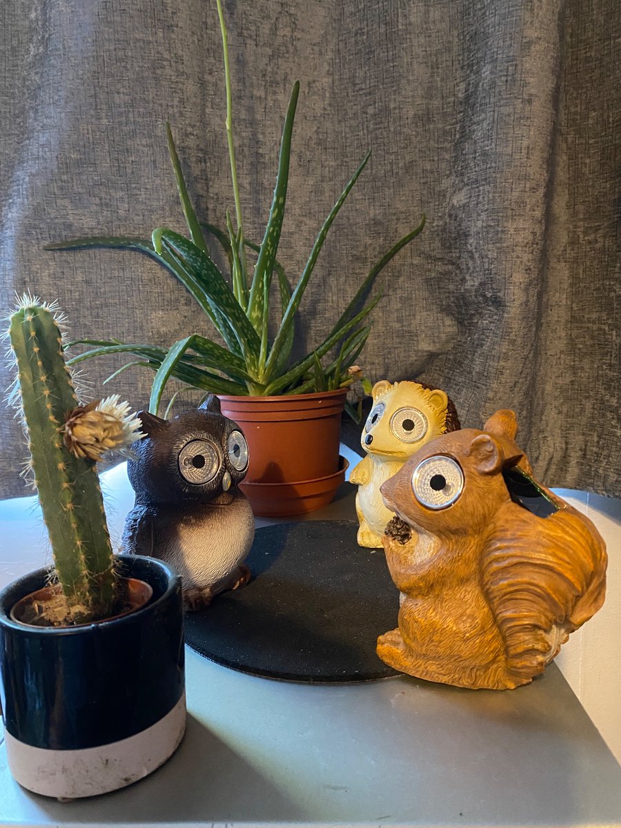 Final duel scene. The Good, the Bad, and the Tufty