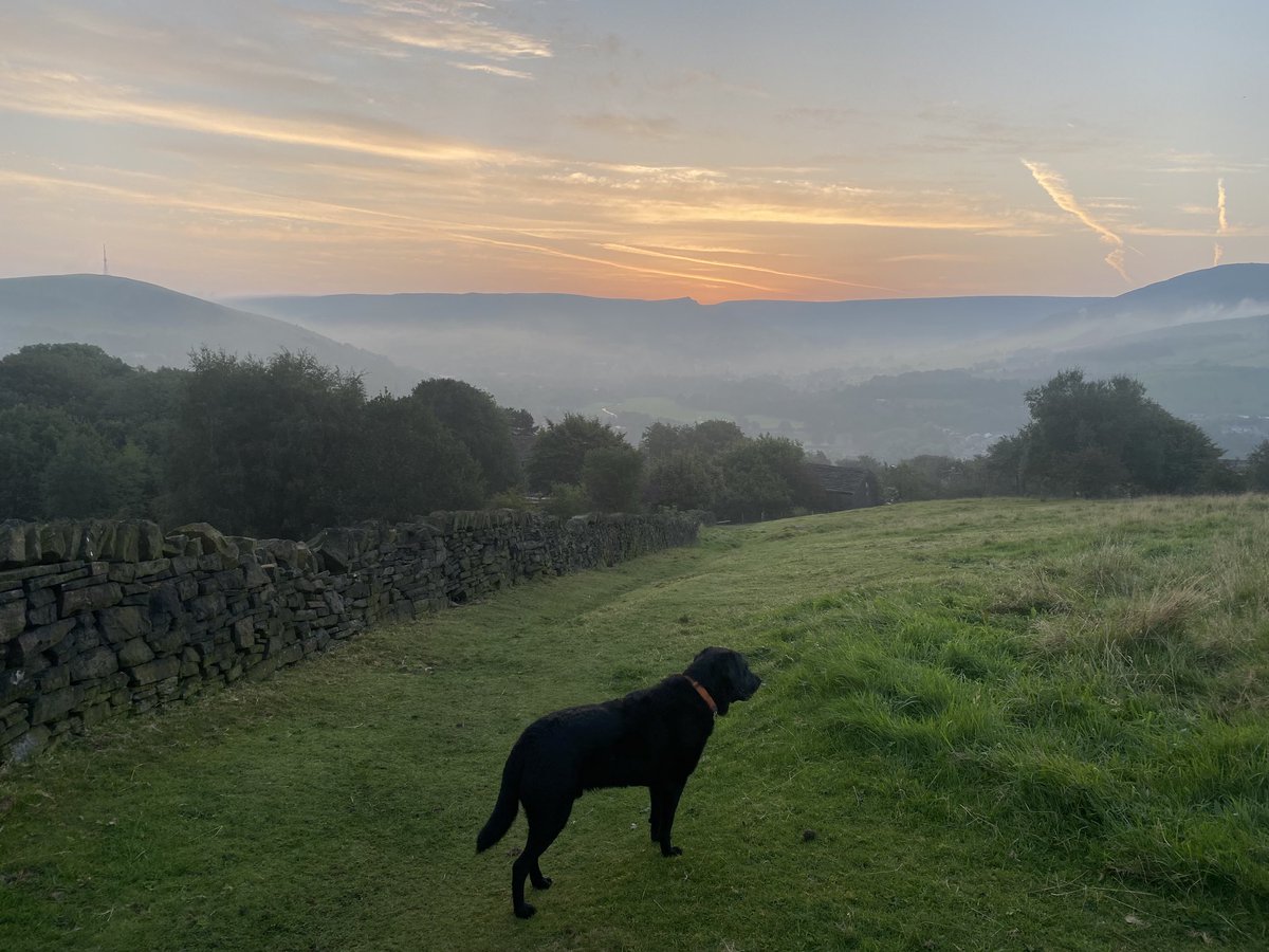 andyb066's tweet photo. Good morning @runningpunks A stunning start to the day for the beastie boy walk. Love how the same view changes constantly #nature @BipolarUK #poletopolechallenge @SOBScharity #stepwithsobs #runningpunks #runningpunk #walkingpunks https://t.co/pB2LzC0aDs