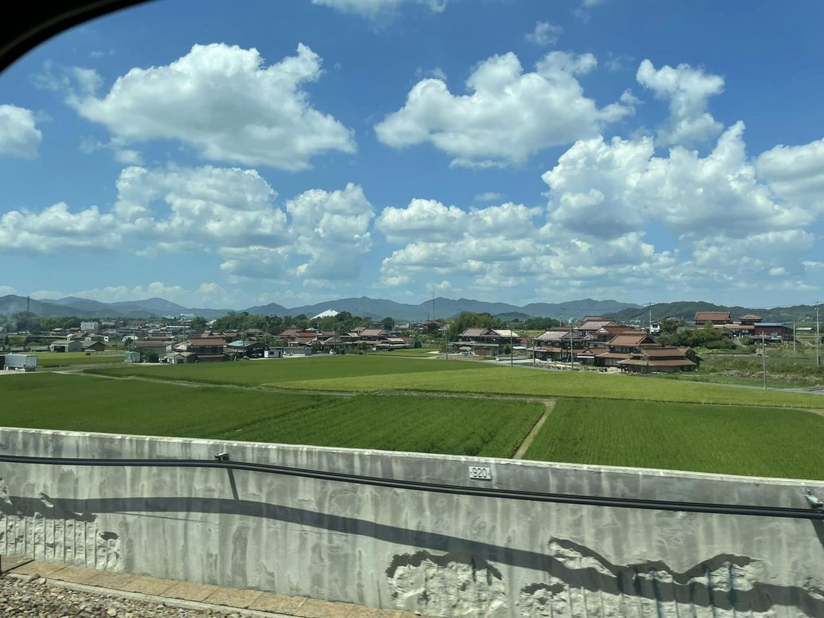 川辺康子（NPO法人西成チャイルド・ケア・センター） tweet media