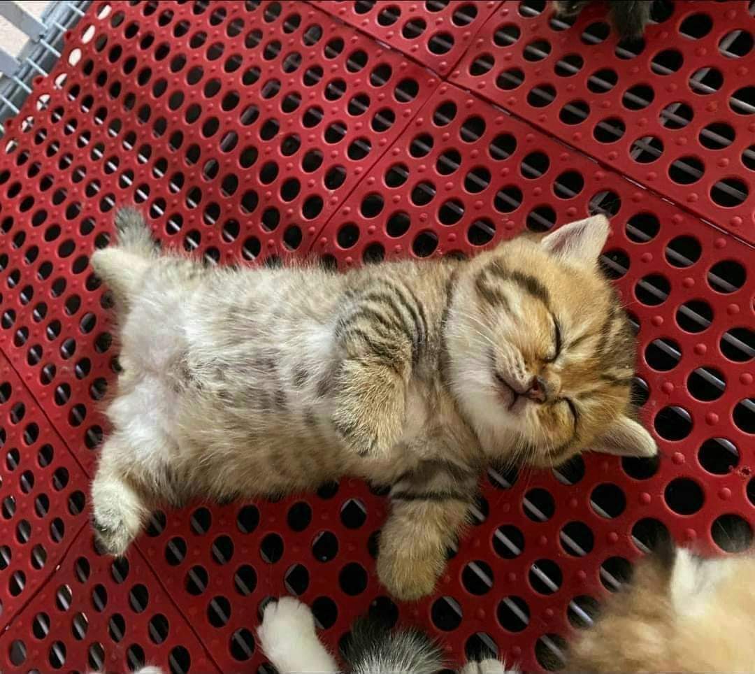 Cause of death: missed you a lot