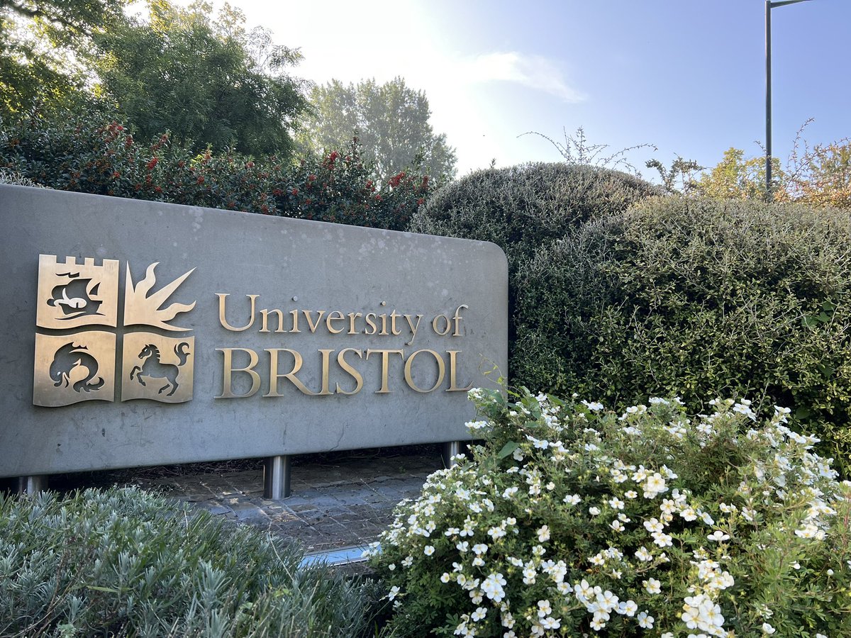 Veena Chawan tweet media