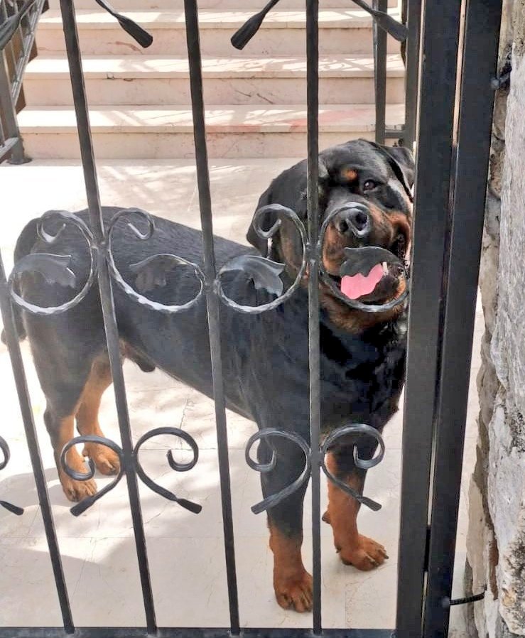 Bana öyle bakma 😏