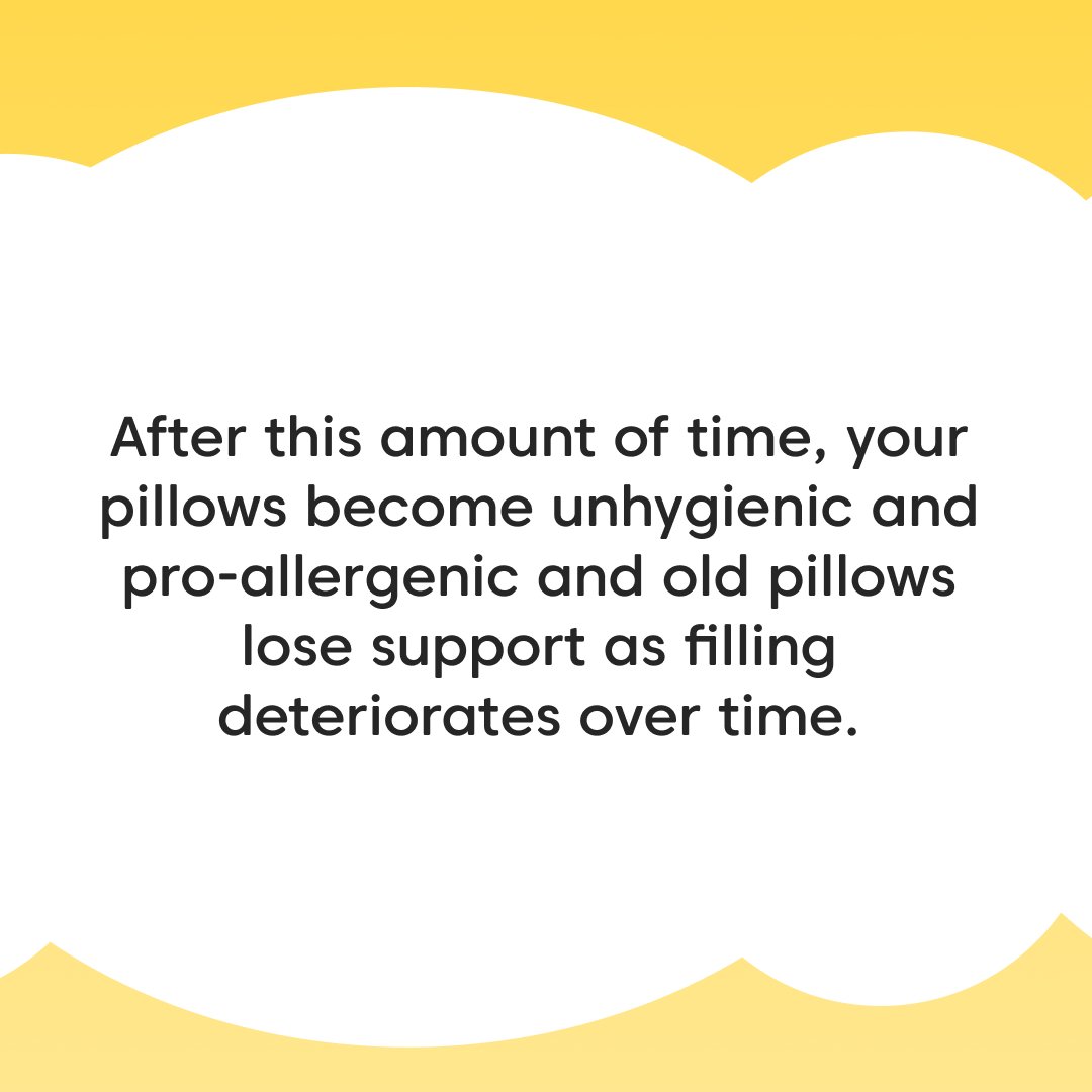 DownlandBedding's tweet image. Is it time to replace your pillows? 😴 

Quality matters for a restful night's sleep! Our pillows are designed so you sleep well and feel good. Explore the best choice for your sleep needs today! 💤 👉 downlandbedding.co.uk/pillows/
 
#Downland #SleepWellFeelGood #Pillows #Sleep