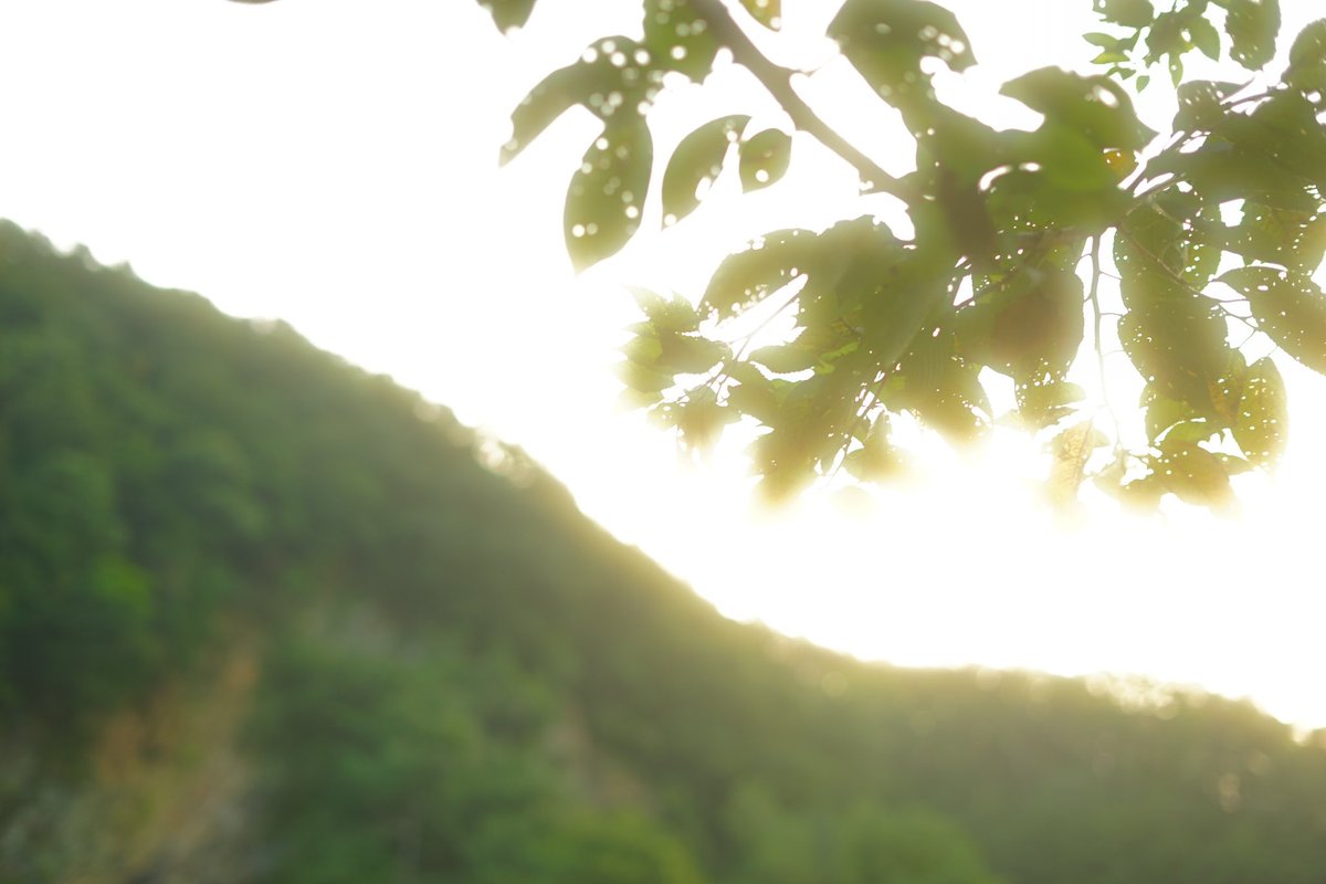 ss_livephoto's tweet photo. #campphoto
ーーーーーーーーーーー
ーーーーーーーーーーー
from #redrockキャンプ場
撮影依頼はDMまで
#camp #スナップ #スナップ写真 #キャンプ #キャンプ好きと繋がりたい #alpha_newgeneration #CAMPCAMPFES #ソニーで切り取った夏を振り返る #これソニーで撮りました #α7r https://t.co/azbiQp6Ukd