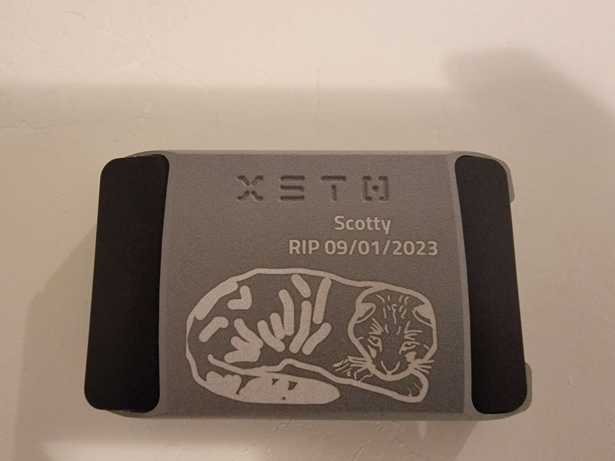 RobotPokemon's tweet photo. Well. It has been 4 days since my cat passed. I still feel empty inside even though I am accepting it all. I did get a picture of him I drew engraved on my wallet too though. I guess it helps me not to miss him so much. Remembering him how an owner probably should. https://t.co/kuUAoxTiDh