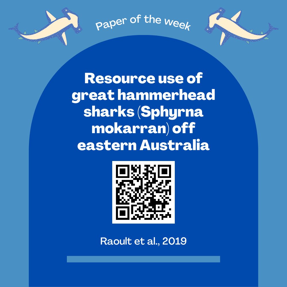 🦈 Paper of the Week🦈

Scan the QR code or click the link below for the full paper !

onlinelibrary.wiley.com/doi/10.1111/jf…