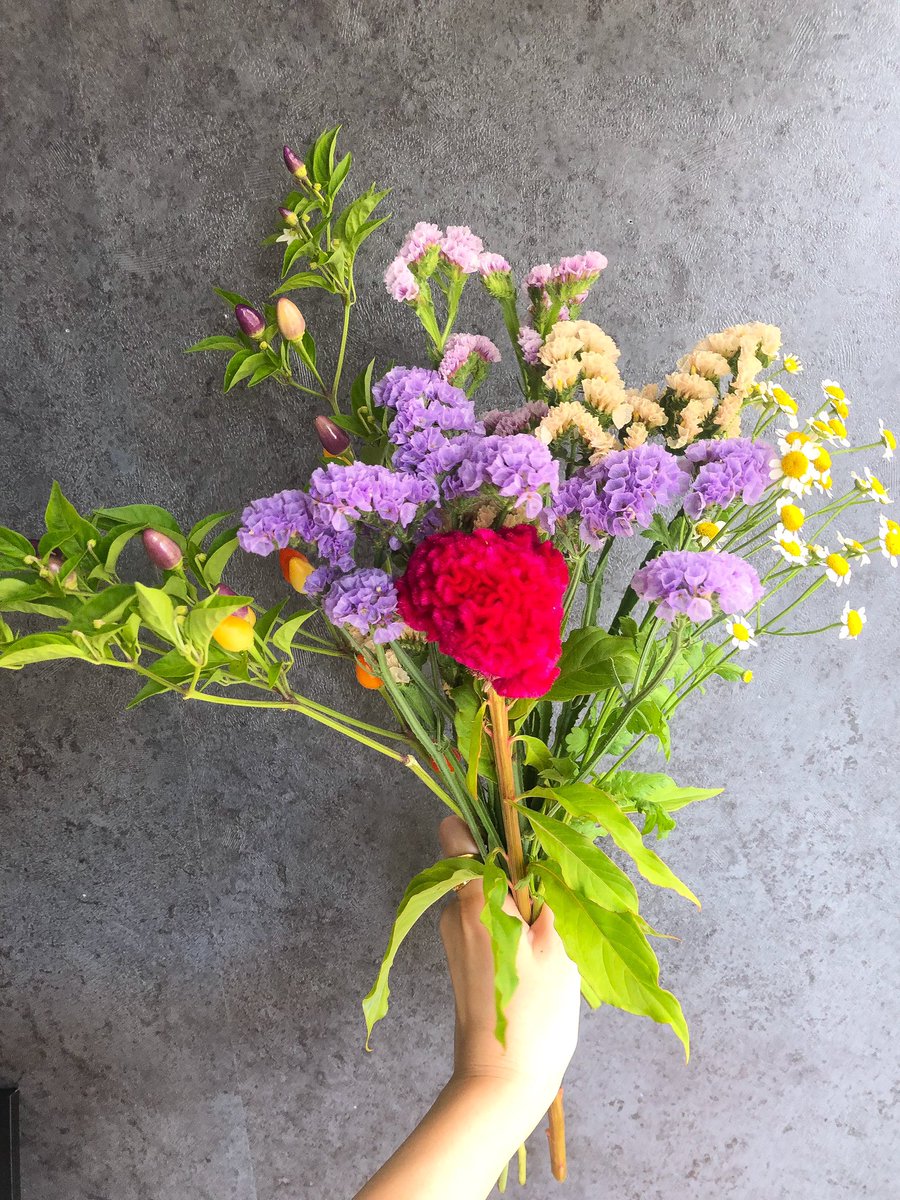 mu___a7's tweet photo. ／
　中島さんの
　季節のおまかせブーケ💐
＼

長野県から産地直送で
新鮮なお花が届いたよ🤭💐

@flowr_is のロスレスブーケ
10%OFFクーポン🎫

▶︎招待コード:PYLB

ご自由にどうぞ🐇💐

#ロスレスブーケ
#ブーケショットチャレンジ https://t.co/OUZevyco7n