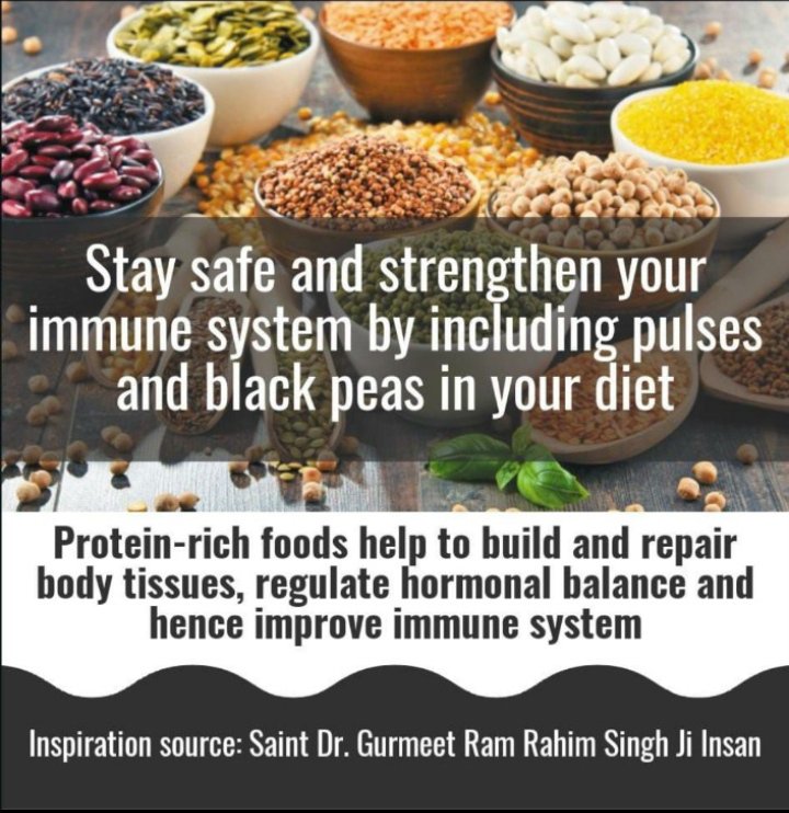 Saint MSG Insan not only provides spiritual knowledge  but alsoHE has given many easy health care tips like eating nutritiousdiet, improving eyeSight,relieving cervicalpain,treating allergies, cough&cold,viralinfections, controlling sugar,loosing weight& muchmore.
#FitnessMantras