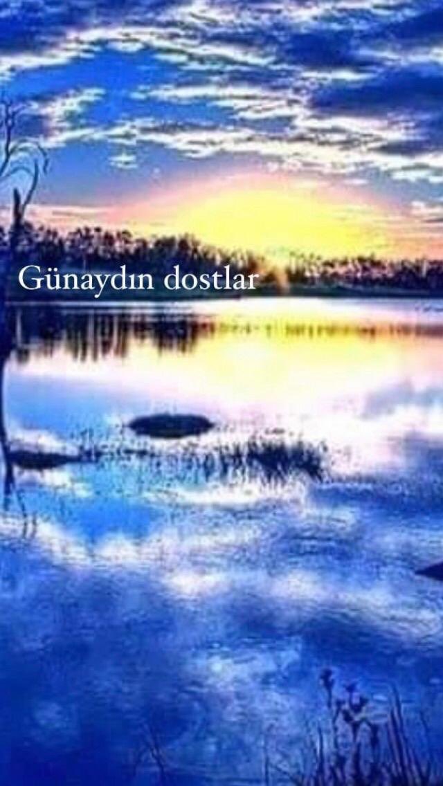 Ali Sevimlisoy (@sevimlisoyali) on Twitter photo 