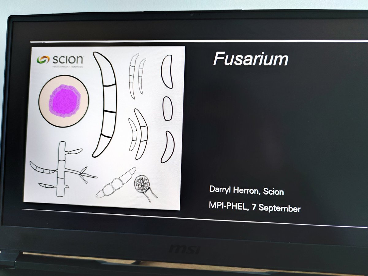 Darryl Herron tweet media