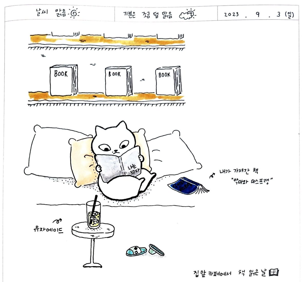 chorokcat's tweet photo. 괜히 다른 책이 재밌어보이는 매직

#그림일기 #나는3D다 #고양이 https://t.co/5lahex2bPs