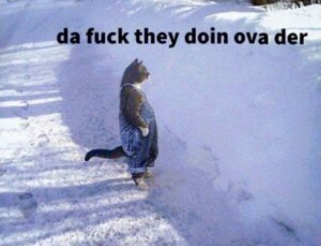 <a href="/dillondanis/">Dillon Danis</a> Aint no way <a href="/KSI/">ksi</a> is going in on Logan like that💀