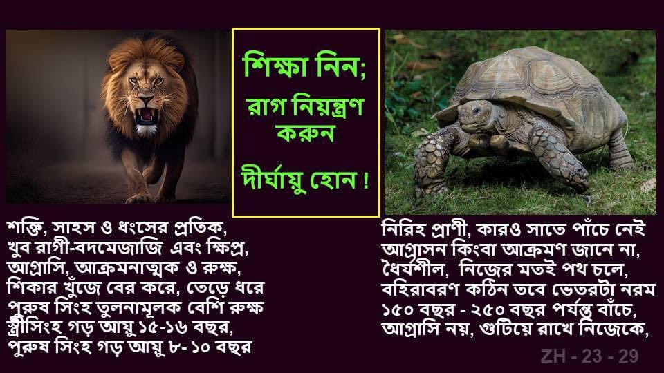 Ahmadul82596161's tweet photo. সিংহ, কচ্ছপ আর তোমার গল্প

বলা হয়ে থাকে যে, সিংহ হলো বনের রাজা। পশুদের মধ্যে অন্যতম শক্তিশালী ও হিংস্র এক জন্তু। সিংহকে আমরা সকলেই ভয় পাই। ভয় পাবার যথেষ্ঠ কারণও রয়েছে। তার শক্তি, ক্ষিপ্রতা আর হিংস্রতা মানুষের জন্য, এবং সেই সাথে বনের অন্যান্য প্রাণীর জন্য মারাত্মক ভয়ংকর।  তার সামনে পড়ে গেলে সে নিমিষেই ক্ষিপ্র গতিতে ছুটে এসে আক্রমণ করে আর বলা চলে, চোখের পলকেই ঘাড় মটকে দেয়। মেরে এর পরে সে শিকারকে ছিন্নভিন্ন করে খেয়ে ফেলে। সে খুব রাগী-বদমেজাজি এবং ক্ষিপ্র, আগ্রাসি, আক্রমণাত্মক ও রুক্ষ।

খালি হাতে বা উপযুক্ত অস্ত্র এবং সেই অস্ত্রের যথাযথ ও সময়োচিত ব্যবহার না জানলে বা করতে না পারলে কিংবা পর্যাপ্ত সময় না পেলে সিংহের সামনে পড়ে গিয়ে কোনো মানুষের পক্ষে বেঁচে আসা অসম্ভব একটি ব্যাপার। এর কারন সে তেড়ে আসে, এসে আক্রমণ করে। তার সামনে গিয়ে পড়তে হয় না শিকারকে। সে নিজেই শিকারকে খুঁজে বের করে, তেড়ে ধরে। 

অর্থৎ সে প্রো-এ্যাক্টিভ। ঝামেলা খুঁজে বেড়ায়। নিজের প্রয়োজনেই সে সেটা করে বেড়ায় যদিও, তারপরেও যেন মনে হয় শান্তি ও স্থিতিশীলতা তার কাম্য নয়। সংঘাত ও দ্বন্দ, যুদ্ধ ও রক্তপাত খুঁজে বেড়ায় সারাটাক্ষণ। নারী সিংহের চেয়ে পুরুষ সিংহ তুলনামূলকভাবে আরও বেশি শক্তিধর, রুক্ষ ও বদমেজাজি। আসলে এটাই তার সৃষ্টিগত প্রকৃতি আর এ প্রকৃতিই তাকে বিশেষ বৈশিষ্ঠমন্ডিত করেছে।

সিংহের চারিত্রিক বৈশিষ্ঠগুলোর মধ্যে অন্যতম হলো, সে খুব বদরাগী এবং বদমেজাজি, সেটা আমরা ইতোমধ্যেই বলেছি। রাগে যেন সে সব সময়ই গর গর করে বা করতে থাকে। সিংহের শরির অত্যন্ত নরম তুলতুলে লোমশ হলেও তার ভেতরটা খুবই কর্কশ ও ভয়ংকর! তার চেহারায় যেমন রাগী রাগী একটা ভাব ফুটে উঠে, তেমনই তার বাস্তব প্রতিফলনও ফুটে থাকে তার প্রতিটি আচরণে, চলনে বলনে। কাজে ও কর্মেও। মোট কথা, শক্তি, সাহস ও ধংসের প্রতিক।  

এরকম শক্তিধর ও ভয়ংকর এ প্রাণীটি, যাকে বনের রাজা হিসেবে বিবেচনা করা হয়ে থাকে, তার আয়ু:স্কাল খুবই কম। একটি স্ত্রী সিংহের আয়ু ১৫ বছর হতে ১৬ বছর মাত্র। আর তার বিপরিতে পুরুষ সিংহের আয়ু ৮ বছর হতে সর্বোচ্চ ১০ বছর মাত্র।  অর্থাৎ তারা খুব অল্প দিনই বাঁচে। এতো শক্তিধর একটি প্রাণী, তাও আবার যাকে বনের রাজা হিসেবে বিবেচনা করা হয়ে থাকে, তার এই স্বল্পায়ু হওয়াটা আসলেই কেমন যেন বিষ্ময়করই ঠেকে বৈকি!

কচ্ছপ
এর বিপরিতে আরও একটি প্রাণীর কথা আমরা উল্লেখ করতে পারি। সম্পূর্ণ বিপরিত চরিত্রের ও বৈশিষ্ঠের। আর সেটা হলো কচ্ছপ। নিরিহ প্রাণী, কারও সাতে পাঁচে নেই, আগ্রাসন কিংবা আক্রমণ জানে না। ধৈর্যশীল, নিজের মতই পথ চলে, বহিরাবরণ কঠিন তবে ভেতরটা নরম ১৫০ বছর - ২৫০ বছর পর্যন্ত বাঁচে, আগ্রাসি নয়, গুটিয়ে রাখে নিজেকে।

ইংরেজিতে তাকে ‘Tortoise’ বলা হয়ে থাকে। অত্যন্ত নিরিহ শ্রেণির এ প্রাণীটি শারিরিক শক্তিমত্তার বিচারে অত্যন্ত দূর্বল। সিংহের তুলনায় সে নিতান্তই ক্ষুদ্র ও দূর্বল। আকারেও অনেক অনেক ছোটো। তার ছুটে চলার মত দুরন্ত গতি নেই, বনে শিকার তেড়ে ধরে খাবার মত ক্ষিপ্রতা নেই। অবশ্য তার কোনো প্রয়োজনও নেই। সে আসলে তৃণভোজী প্রাণী, কাজেই কোনো শিকারকে তেড়ে ধরে খাবার কোনো প্রয়োজনও নেই।

আসল ঘটনাটা কী?

রাগ, আর বুকে জমা রাখা ক্ষোভ! এই রাগ ক্ষোভই সিংহকে কূরে কূরে খায়। তাকে তার ভেতর হতেই ধ্বসিয়ে দেয়, অসীম শক্তিকে দেয় নি:শেষ করে। তাকে রিক্ত করে ছাড়ে। অতএব, রাগ মনে পুষে না রেখে তাকে ক্ষমা ও উপেক্ষার নদীতে ভাঁসিয়ে দিয়ে হৃদয়টাকে শান্ত এবং স্থিতিশীল করুন। দীর্ঘজীবি হোন এবং সুস্থ থাকুন।