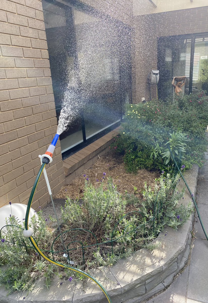Mishort11's tweet photo. It’s been so dry in Bendigo that I’ve been throwing water around today!
#drywinter https://t.co/xFzjJnr2Kh