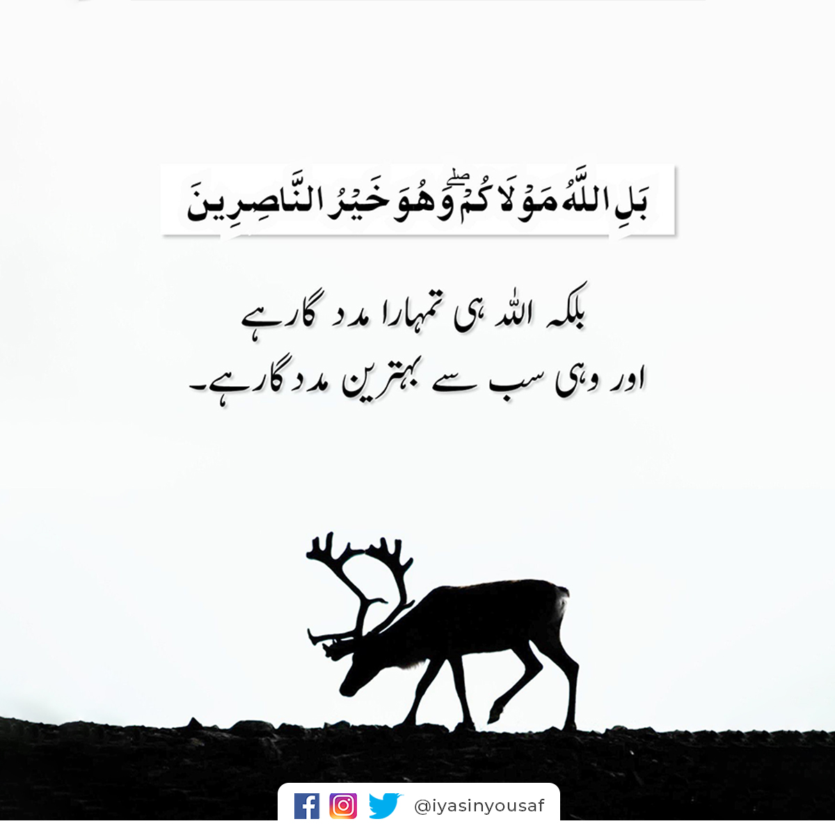 iyasinyousaf's tweet photo. صبح بخیر..
#JusticeForShaheenaShaheen Farooqi Doctor #6September https://t.co/wjYOeX70fu