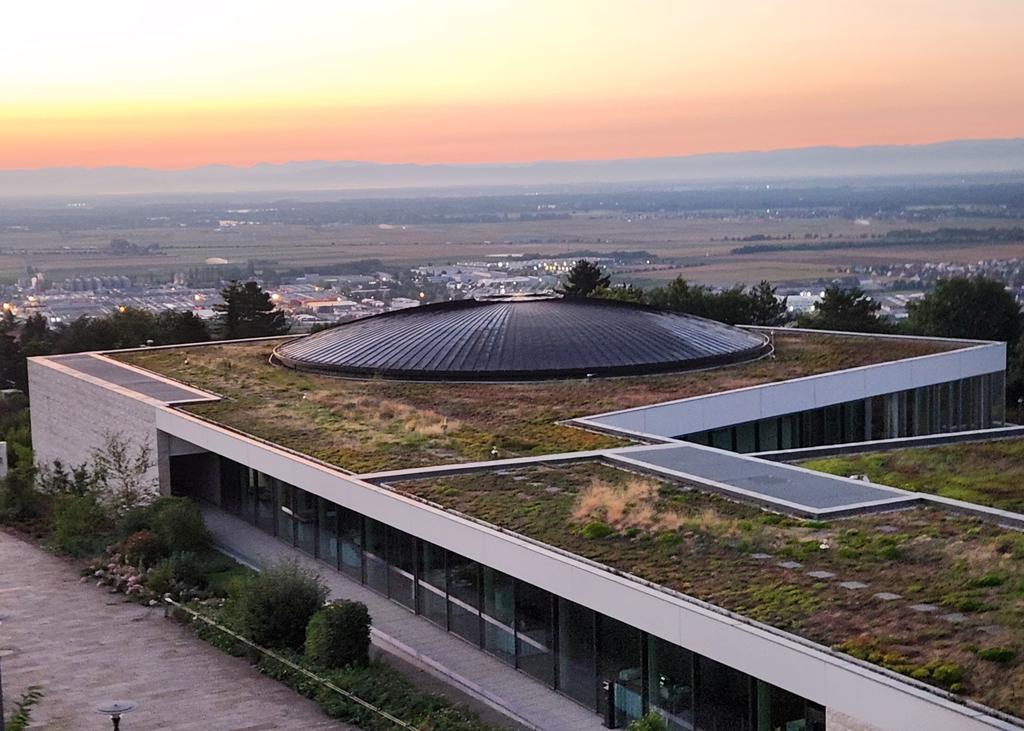 Daniel Baal tweet media