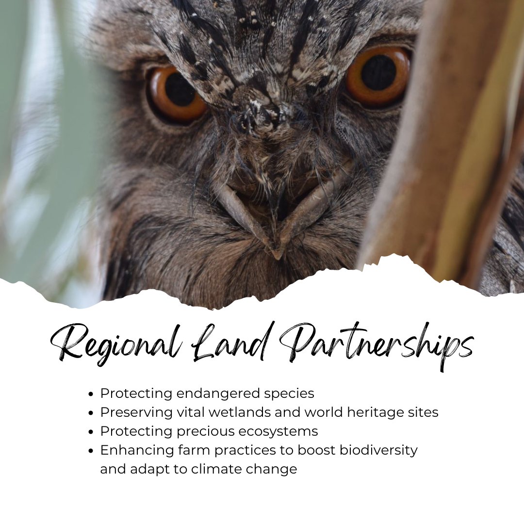 Mission accomplished! 
Regional Land Partnerships a $450M 5-year investment by the Aust. Govt. to address national priorities is now complete. 
More about our local projects over the next few days. 
dcceew.gov.au/environment/la…
@AusLandcare
<a href="/dcceew/">DCCEEW</a>
@DeptAgNews

#Landcare