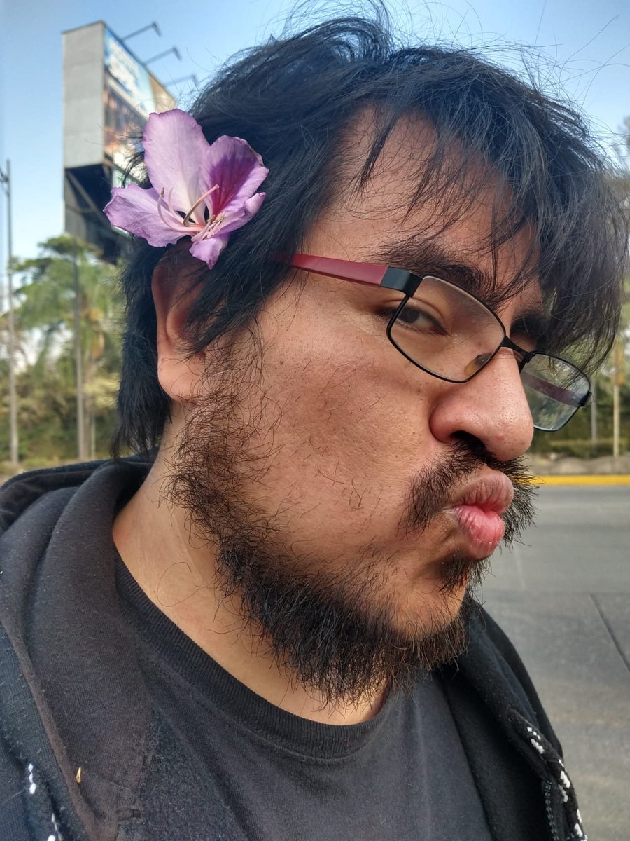 León tweet media