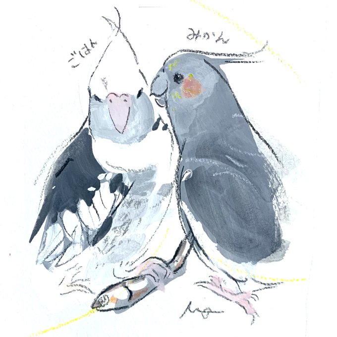 #小鳥のアートフェスタ in横浜オーダーイラストのご紹介2羽のオカメインコさんと、煮干し※イベントは終了いたしました 