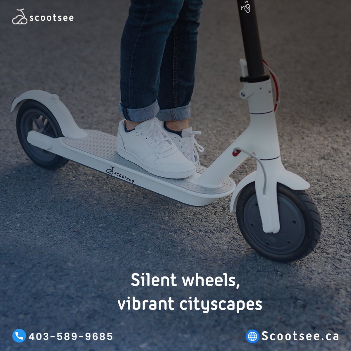 Cruising through life on my electric scooter.
#ecoadventures #scootsee #canada