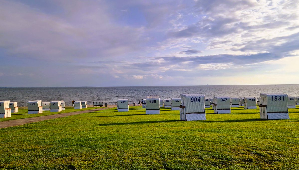 Giovy Malfiori tweet media