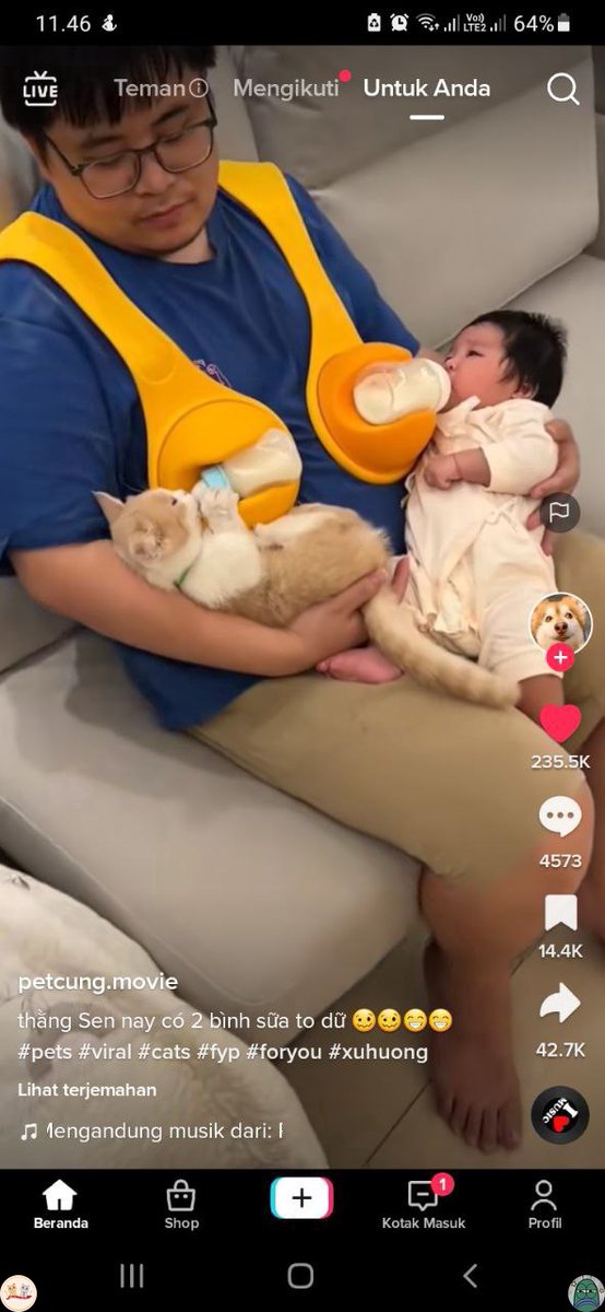 kochengfs's tweet photo. 🐈 pentingnya menjaga jarak kelahiran antar anak 😔 https://t.co/eoPnuawFr5