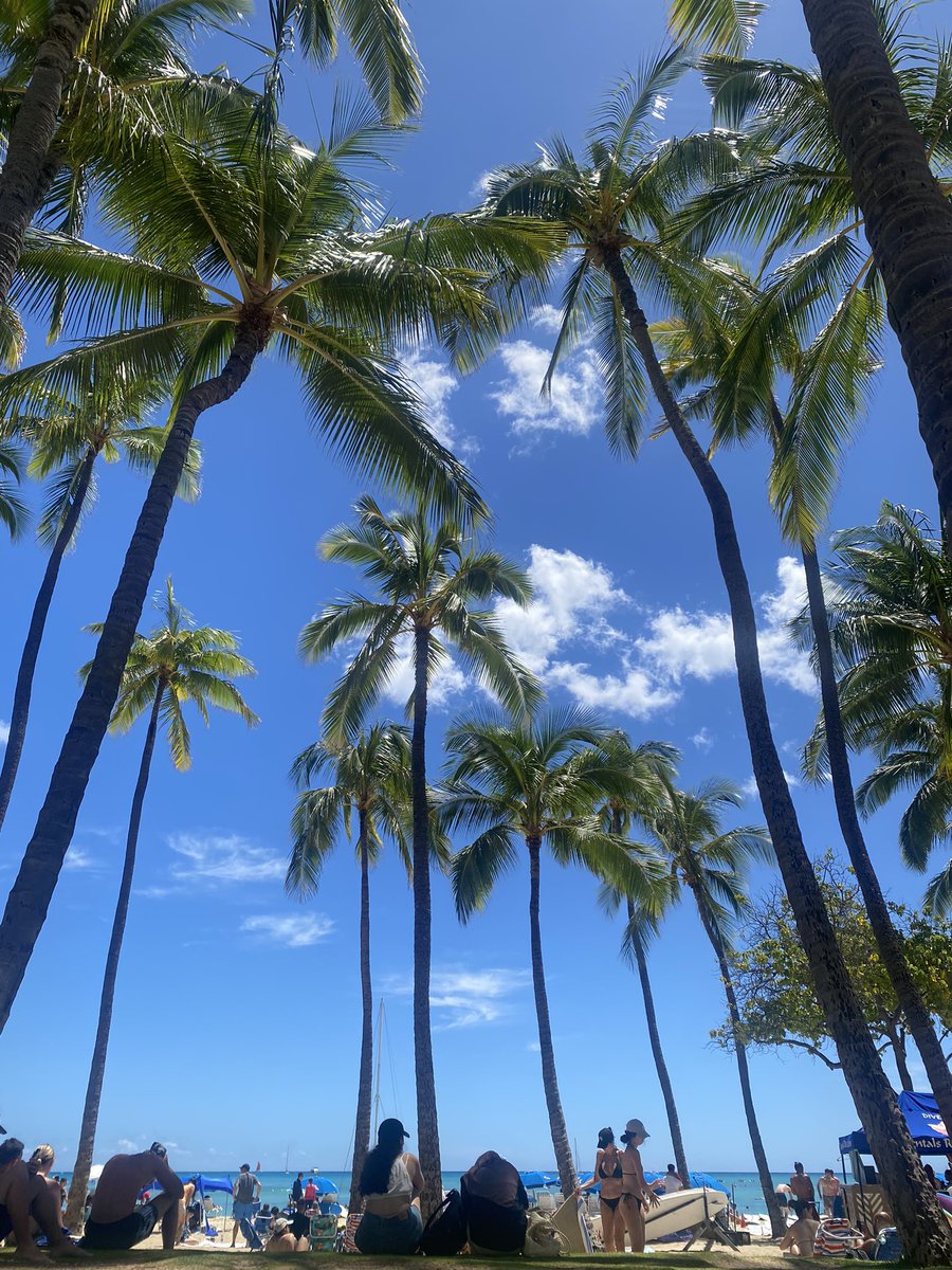 yuuko_jun's tweet photo. Aloha, I’m from Hawaii ~
📍I can send [ Ocean region ]

6196 3786 1768

⭕️looking for some friends that can open my gift everyday💕
Thank you！mahalo 
❌🈲Japan日本🇯🇵❌ #pokemongofriend #PokemonGOfriends 
#vivilloncollector https://t.co/YEFShIMbyN