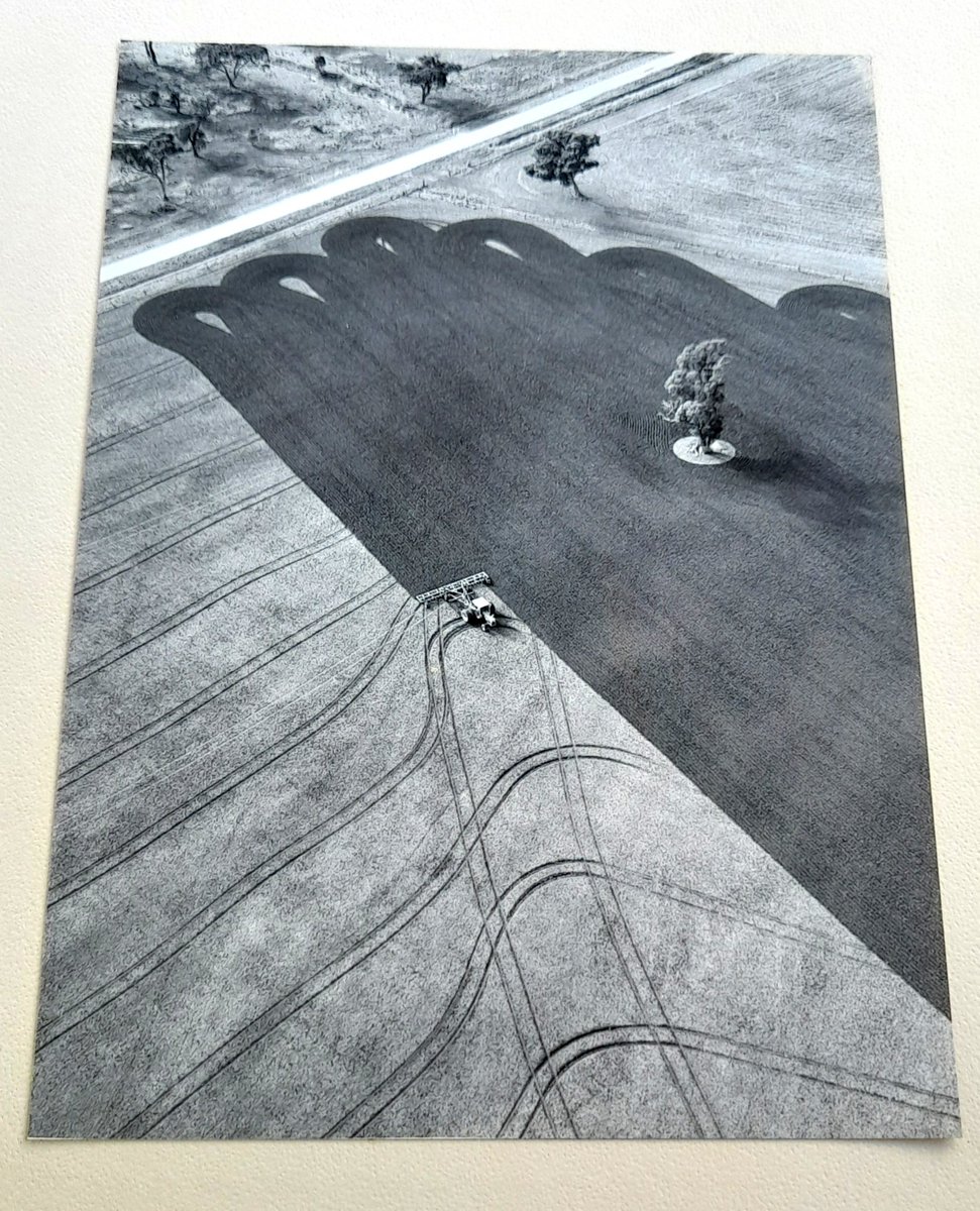 Agvocate_Au tweet media