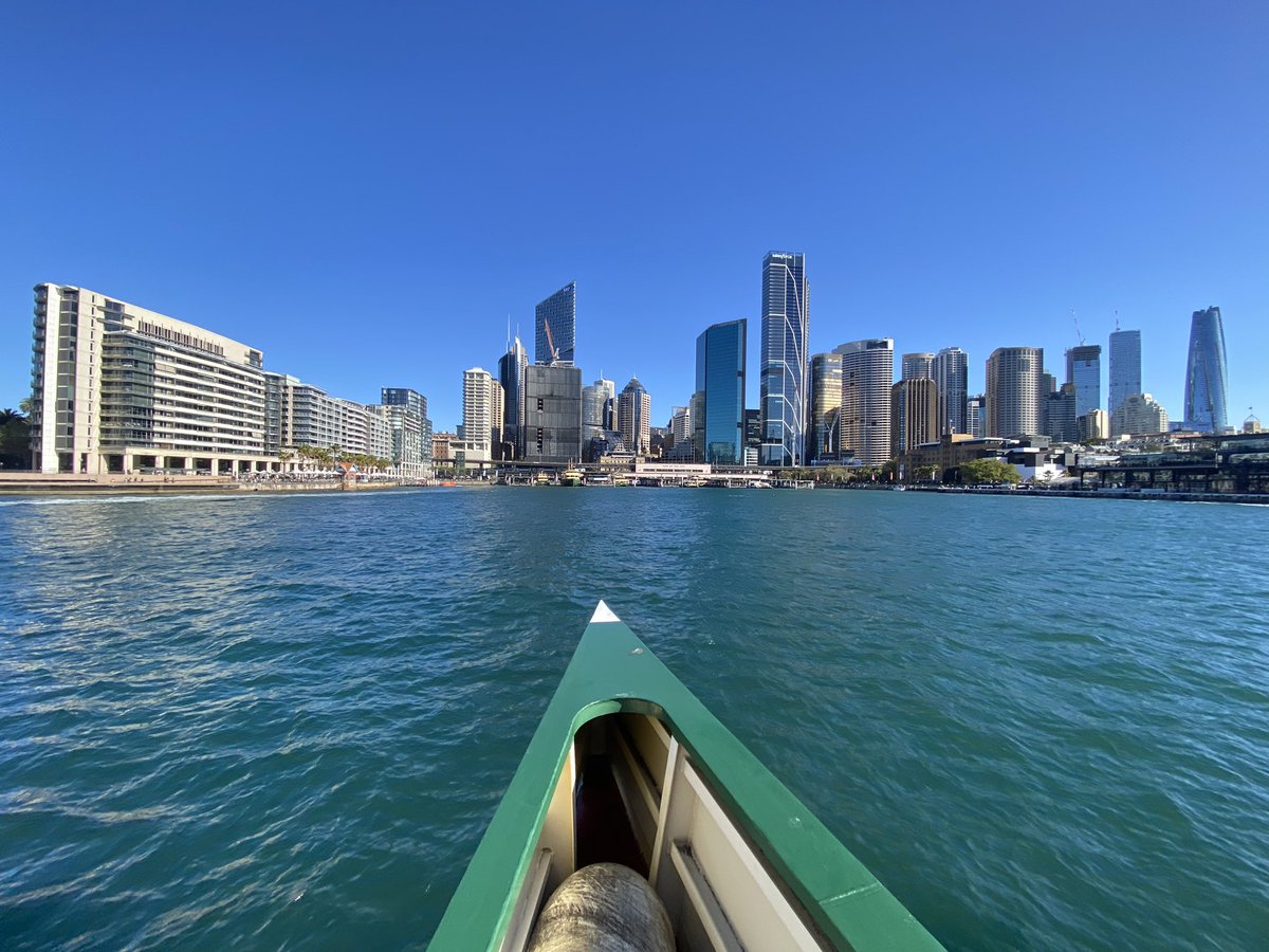 David Warwick-Smith tweet media